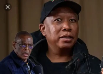 Malema in talks with former ANC decision maker – report