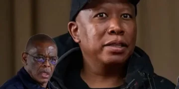 Malema in talks with former ANC decision maker – report