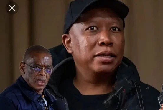 Malema in talks with former ANC decision maker – report
