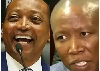 TROUBLE: Julius Malema leads Patrice Motsepe astray?