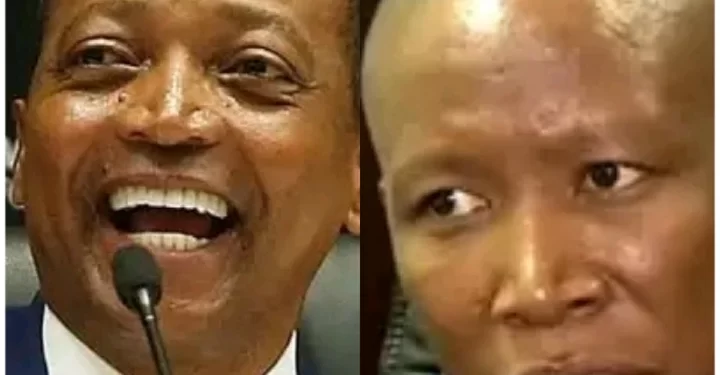 TROUBLE: Julius Malema leads Patrice Motsepe astray?