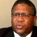 Wife Of Former National Lotteries Commission Chief Says Her Company Gave Mbalula R3M, See Why