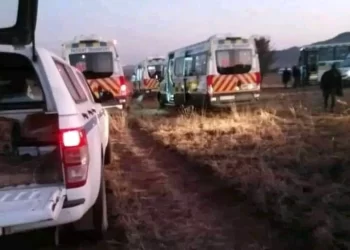SAPS left shaken after finding 200 kidnapped boys on a mountain, See what they were forced to do