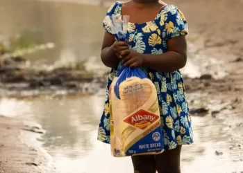 Little girl gets recognized by Albany after her video carrying an Albany bread went viral