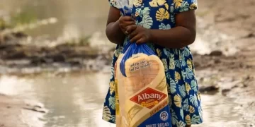 Little girl gets recognized by Albany after her video carrying an Albany bread went viral