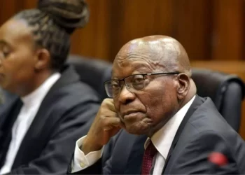 Jacob Zuma set to go back to jail