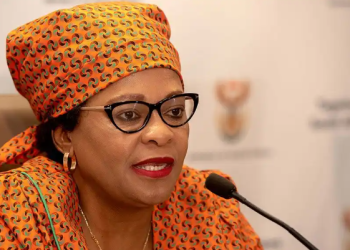 ANC Top Heavyweight Says Zimbabweans Must Go Home