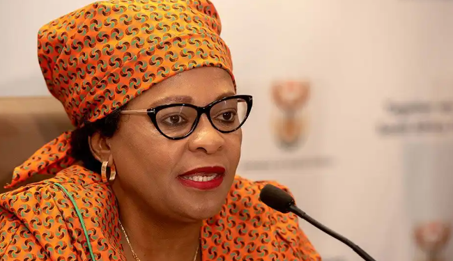 ANC Top Heavyweight Says Zimbabweans Must Go Home