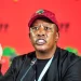 Malema: The ANC is an organisation of murderers.