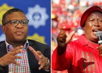 ” Fikile Mbalula uses people” | Julius Malema verbally attacked Fikile Mbalula
