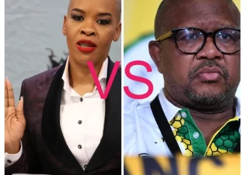 ” Fikile Mbalula must Back off”, says ANC provincial deputy secretary