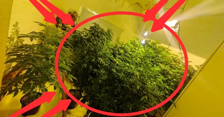 SAPS found a secret room while conducting a search on a property, look at what officers discovered