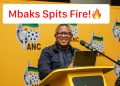 “Magashule Was Doing Nothing; We Did a Good Thing By Removing him” — Mbalula Takes Swipe at ACE
