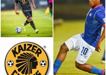 Rowan Human Wants To Play With Dolly At The Chiefs