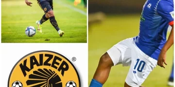 Rowan Human Wants To Play With Dolly At The Chiefs