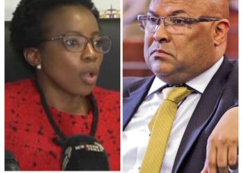 Dr Mtimka Says Arthur Fraser Should be Blamed For Not Cooperating With The Public Protector