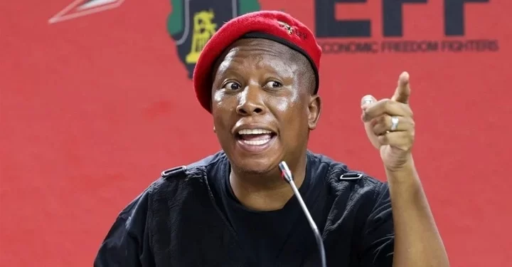 ” Zuma has served. It is enough”, Says Julius Malema