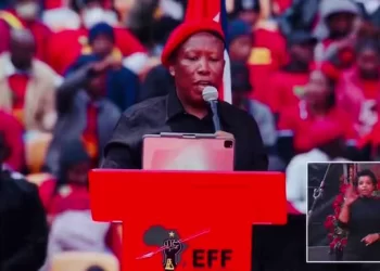We’re Going To Fire Those Amapanyaza With Their Oversize Green Overalls Next Year – Malema