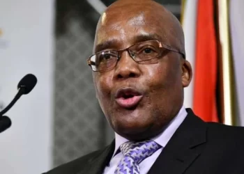 There are allegedly millions of Foreigners staying in South Africa