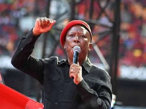 White South Africans are not pleased with Julius Malema chanting the song Kill The Boer
