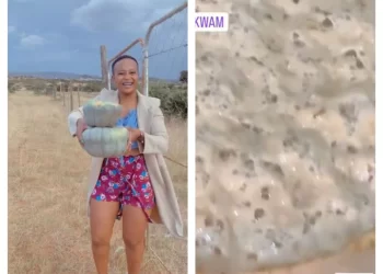 Thembinkosi Lorch’s ex-GF Nokuphiwa makes traditional beer almost 2 weeks before his sentencing