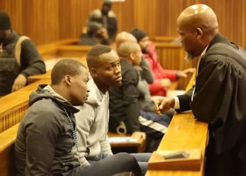 “I Am Not Here For That” – Key Witness Fires Back At Advocate Ramosepele