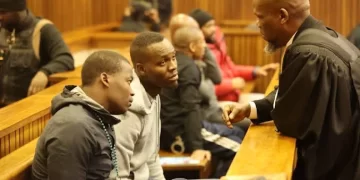 “I Am Not Here For That” – Key Witness Fires Back At Advocate Ramosepele