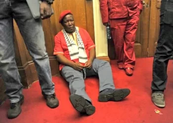Sad news for Malema and EFF. See what happened that left malema in tears.