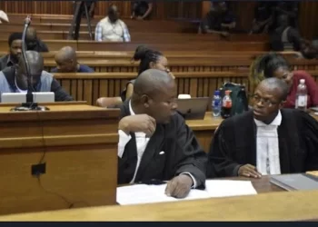 A New Witness Reveals Three Overlooked Individuals in Court