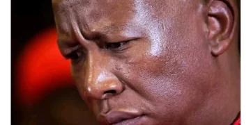 Malema Shocks his enemies as he dropped bombshell. See what he said that left people shaken
