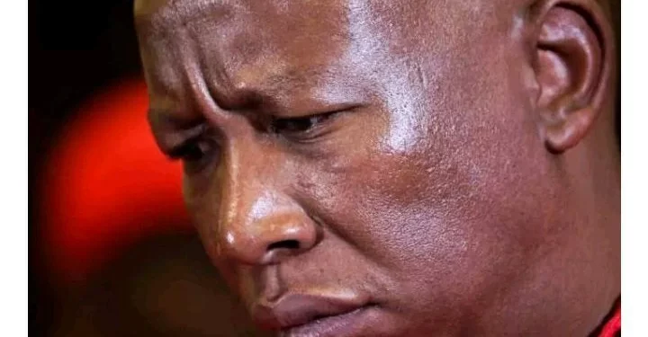 Malema Shocks his enemies as he dropped bombshell. See what he said that left people shaken