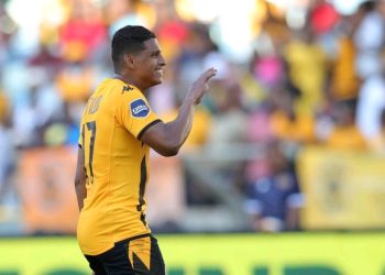 Kaizer Chiefs are waiting for good news as Safa is investigating about their MTN8 exit