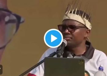 ANCYL President Says R350 Grant Should Increase To R1,500, Unemployed Graduates To Be Paid R4,500