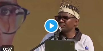 ANCYL President Says R350 Grant Should Increase To R1,500, Unemployed Graduates To Be Paid R4,500