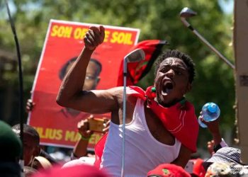 End of EFF is coming: see what ANC did in Ward 3 that left Malema and the EFF in tears