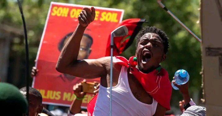 End of EFF is coming: see what ANC did in Ward 3 that left Malema and the EFF in tears