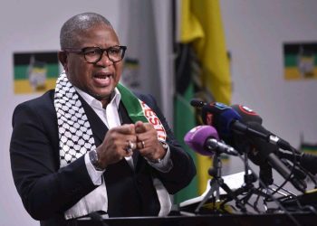 All foreigners owning Spaza shops in South Africa must know what is ANC planning now