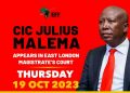 Watch: CIC Julius Malema Appears In Court Firearm Case – Ruling