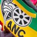Deadly hitmen left ANC shaken after killing ANC prominent bigwig Siphelele Nxumalo