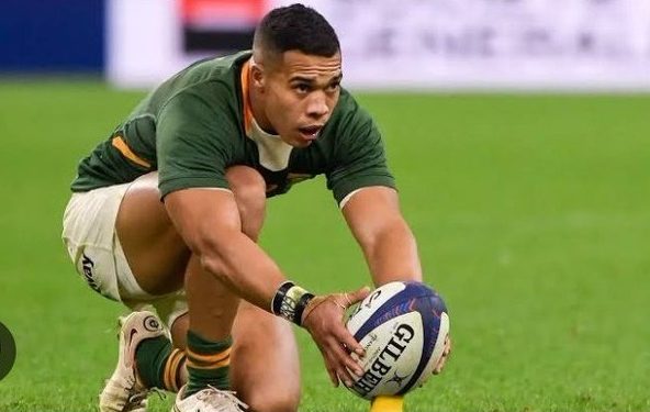 Cheslin Kolbe’s fighting spirit against France.