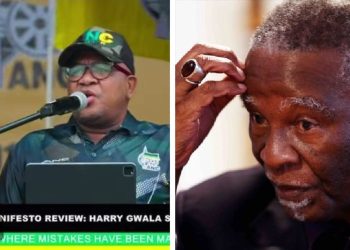 Fikile Mbalula lambasted Thabo Mbeki in public
