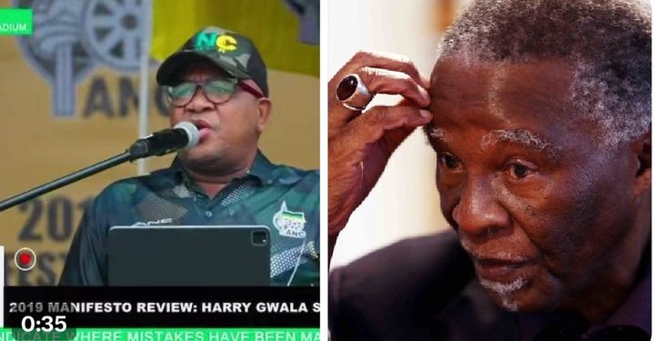 Fikile Mbalula lambasted Thabo Mbeki in public