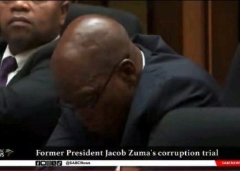 Take a look at what Zuma’s lawyer, Dali Mpofu, did in court that made Zuma sad.