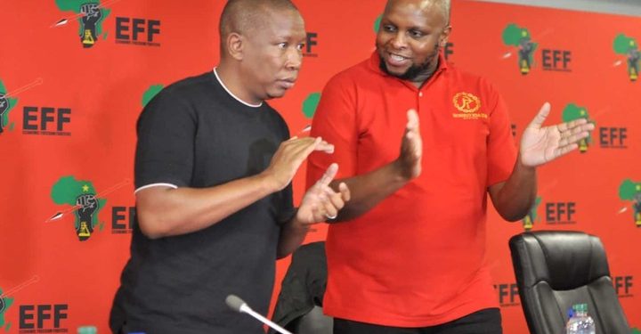 EFF lost hope that they will defeat ANC next year