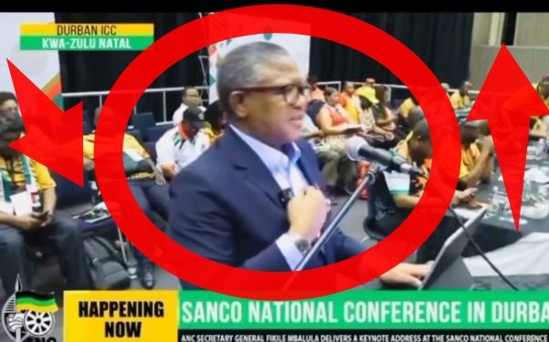 Fikile Mbalula,“The Arrest Of President Zuma Was Discussed By Journalist, Media Check What Happened