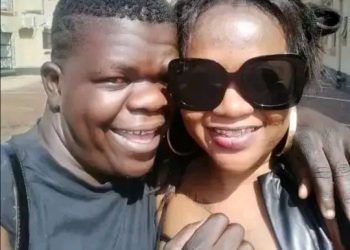 The king Is denying black cat and black cat want the king back