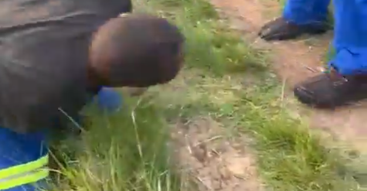A man was brutally beaten by the community for stealing cows see the video
