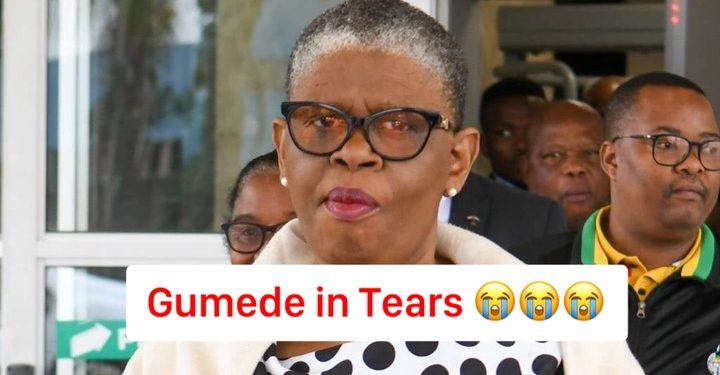 ANC Bigwig Accused of ‘Stealing’ R320-million CRIES in Court