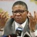 Fikile Mbalula Real Age Shocks The Country, You Will Not Believe He Is This Age