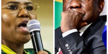 Pressure mount in for President Cyril Ramaphosa to fire minister Lindiwe Zulu